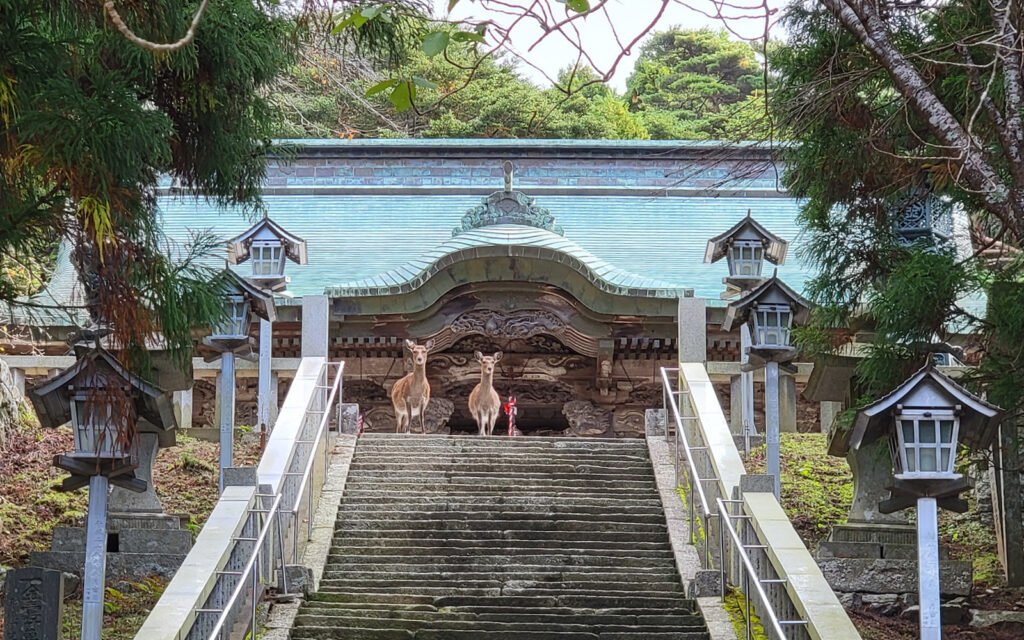 ⛩️ 황금꽃 산 황금산 신사 (킨카산 코가네야마 진자) 이미지 1